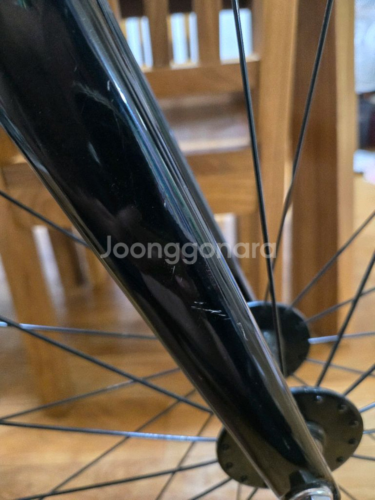 엔진 11 커버업 네온차콜 2025년식--2