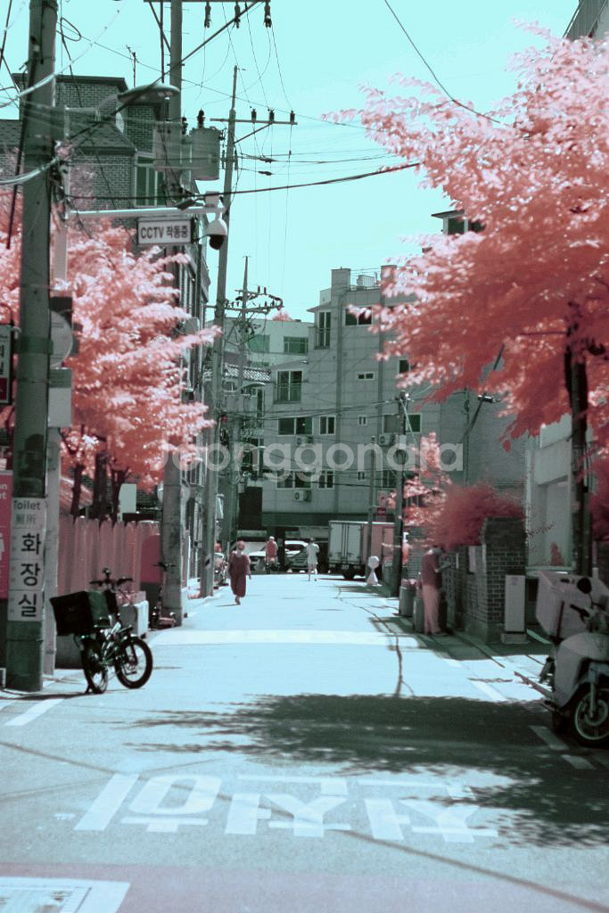 니콘 D50 풀스펙트럼 개조 DSLR--5