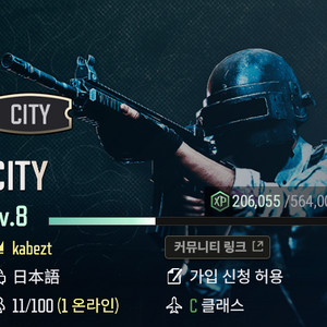 스팀 배틀그라운드 레어닉 클랜 "CITY" 판매합니다