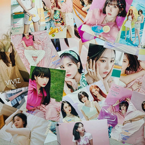 비비지 사진 39장 일괄