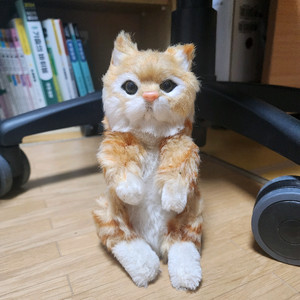 고양이 인형 장식