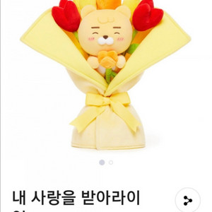 라이언꽃다발, 죠르디꽃다발 인형팝니다