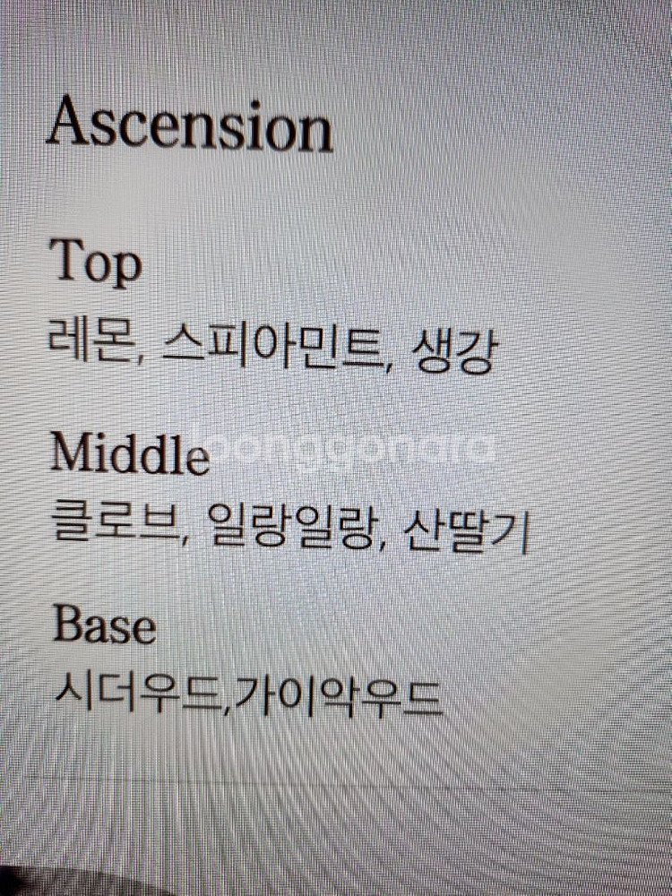 프로소디 런던 캔들270g (2개일괄)--4