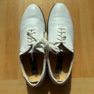 나이키 남자 골프화