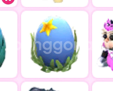 입양하세요 에그--0