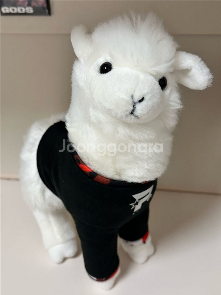 케이티롤스터 데프트 알파카 인형--0