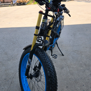 LANKELEISI RV700 전기 자전거