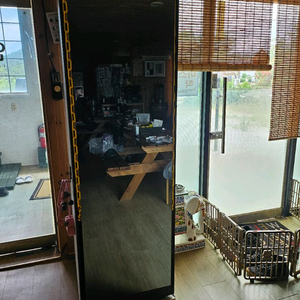 삼성 비스포크 에어드레서 DF10T9300CG