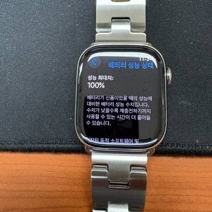 애플워치10 에르메스 46mm 사티네M