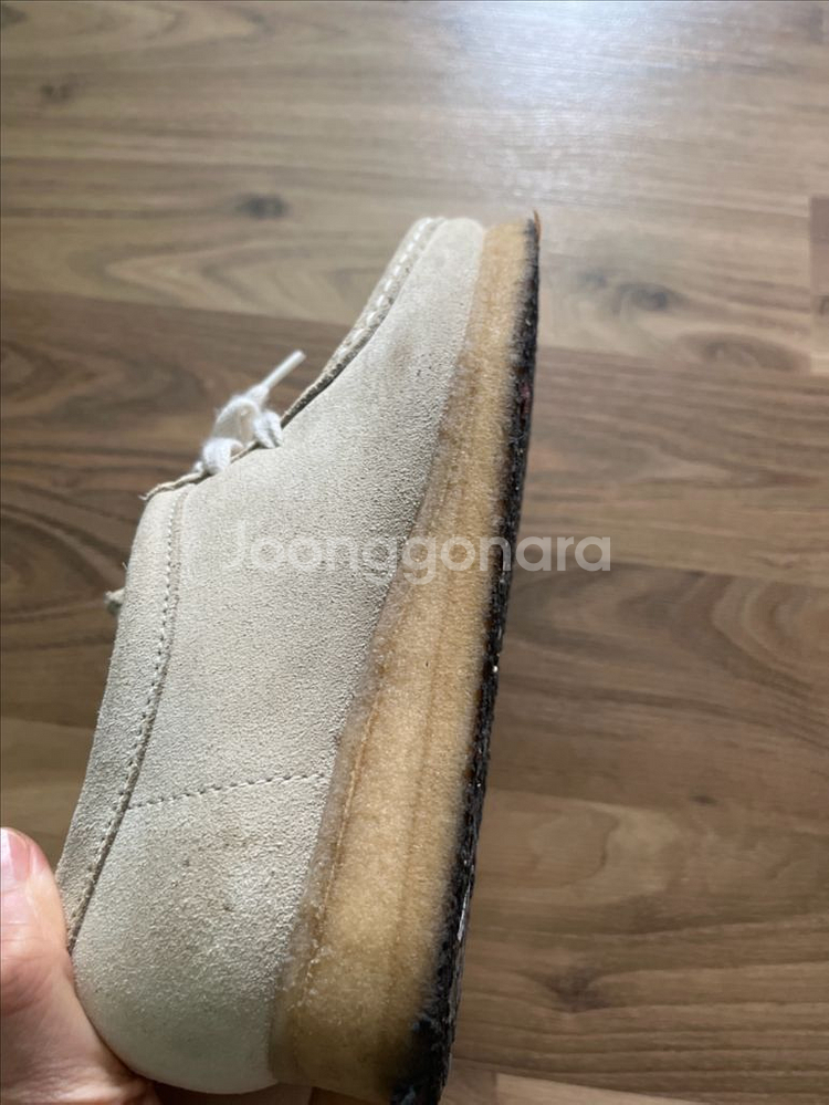 클락스왈라비--1
