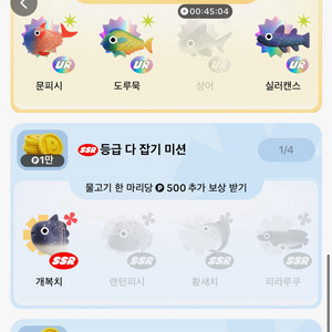 틱톡라이트 낚시원정대