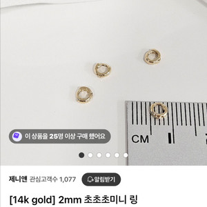 2mm 초미니링귀걸이