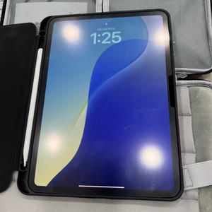 아이패드 프로 11 M4 wi-fi 256GB