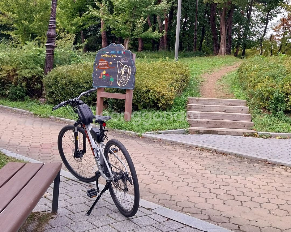 트렉 듀얼스포츠1 4세대 하이브리드 자전거 팝니다--4
