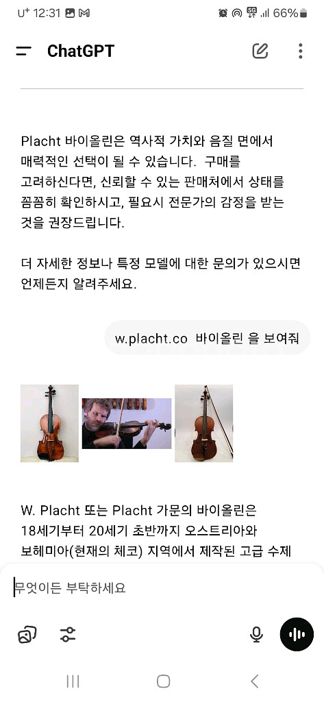 체코 W.PLACHT 3/4 올드 바이올린--6