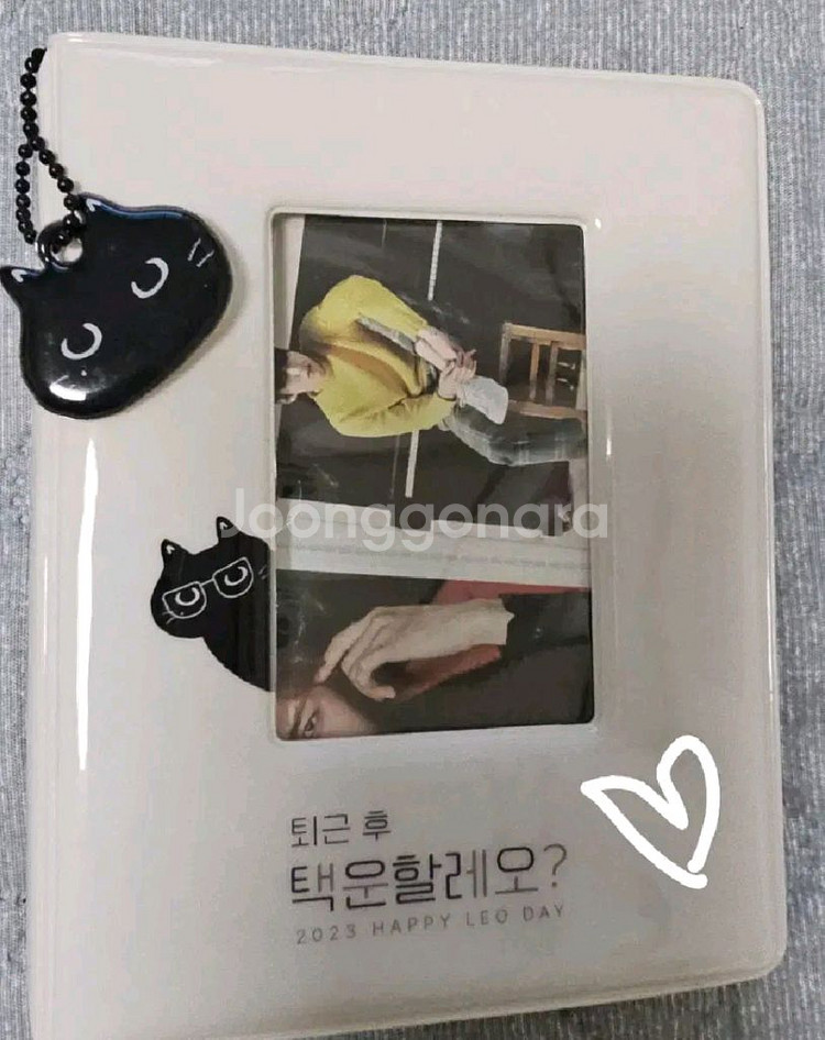 빅스vixx 레오 정택운 포카 택냥이 포토카드 바인더--0
