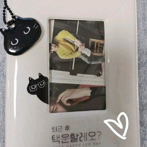 빅스vixx 레오 정택운 포카 택냥이 포토카드 바인더