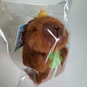 네잎클로버 카피바라 인형 키링
