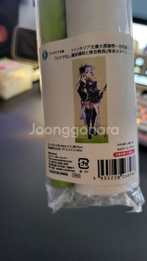 시스티나 족자봉(한정)--0