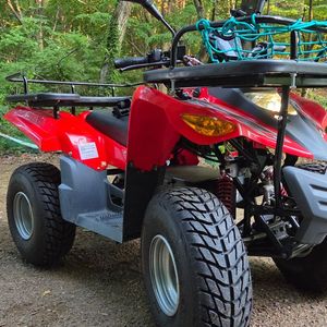 대림 E‑AT100 (전기 ATV)