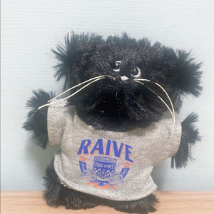 새상품:)레이브(RAIVE) 고양이 키링+하트호피그립톡