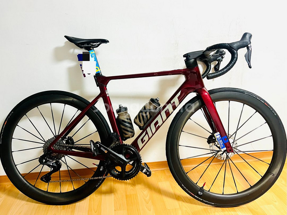 2024 자이언트 프로펠 pro 0--0