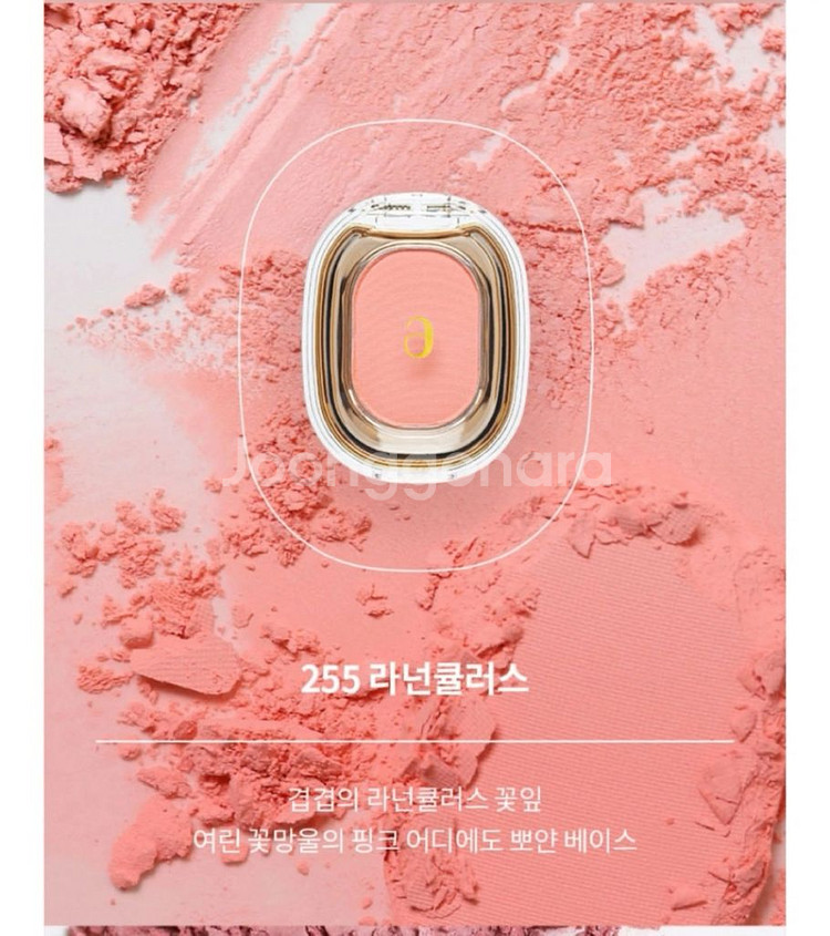 아멜리 싱글 섀도우 라넌큘러스 255--0