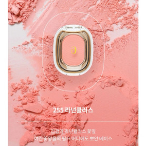 아멜리 싱글 섀도우 라넌큘러스 255