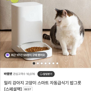 밀리 고양이 자동급식기