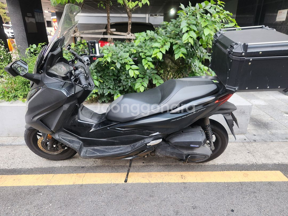 포르자350 24년식--1