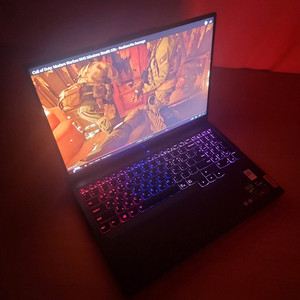 레노버 리전 Pro 5 16IRX8 게이밍노트북