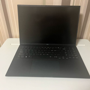 LG그램 RTX3050
