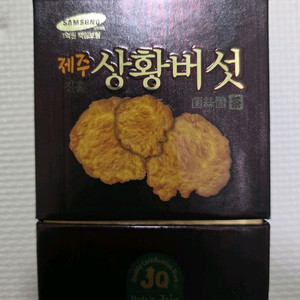 제주 상황버섯 분말