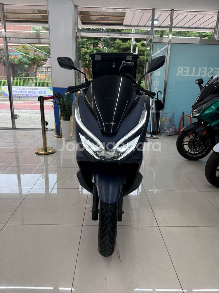 20년식 pcx125 앞쪽올카 배달세팅 급매--0