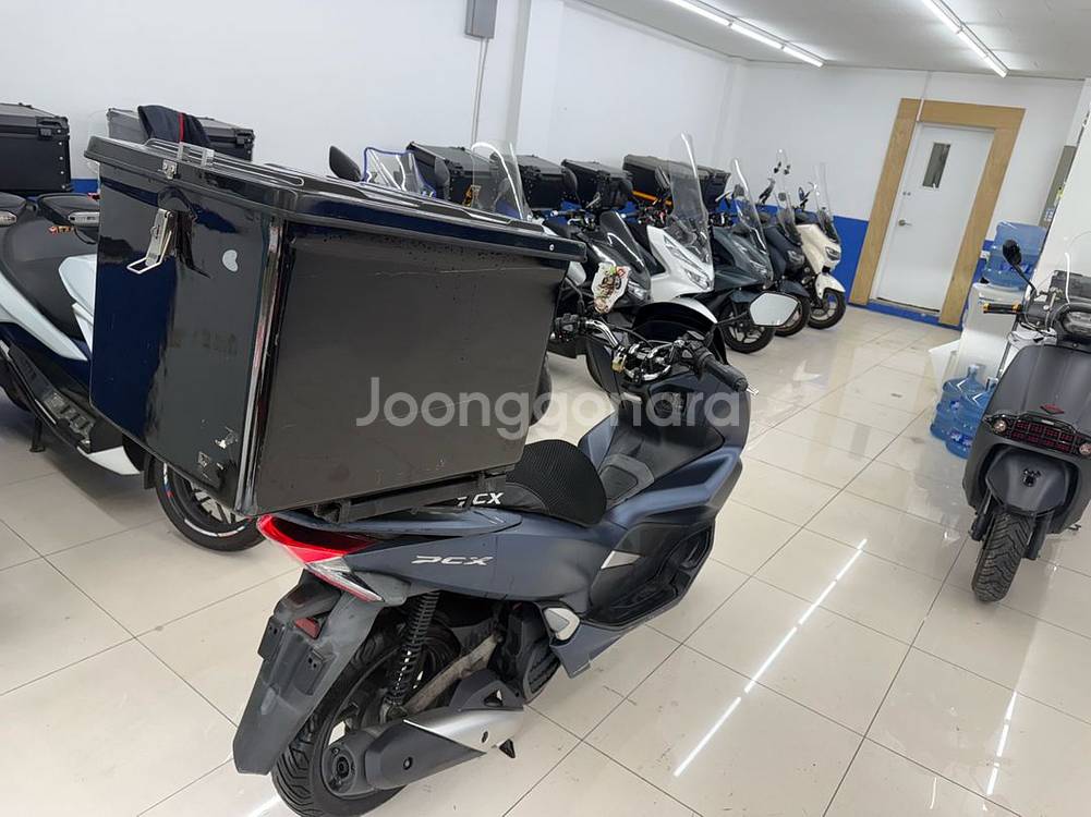 20년식 pcx125 앞쪽올카 배달세팅 급매--4