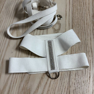 수잔랜시 하네스
