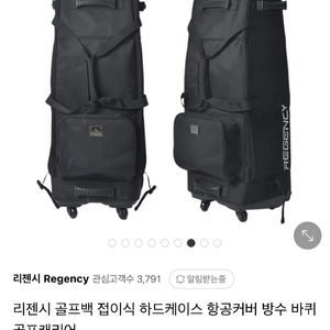 리젠시 골프백 하드케이스 항공커버