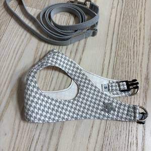 수잔랜시하네스