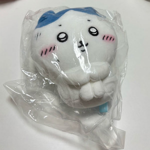 치이카와 기쁨이 없어 하치와레 누이