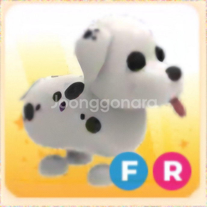 입양하세요 FR 산강 (달마시안)--0