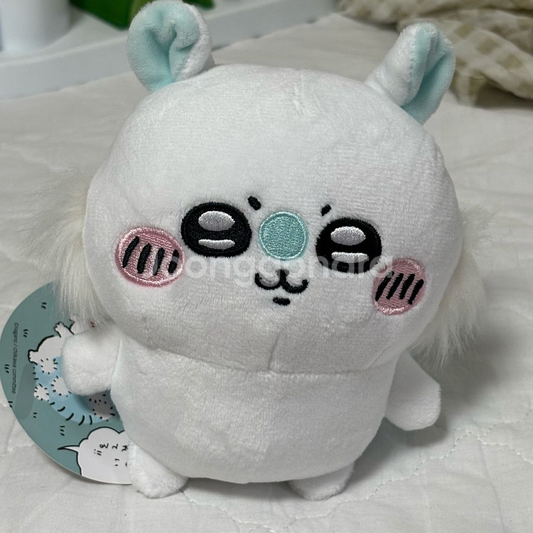 모몽가 채집 누이--0