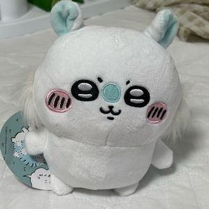 모몽가 채집 누이