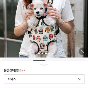 펫데일리 강아지 이동 가방 M 강아지포대기 가방