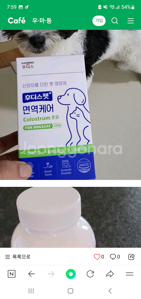 일동후디스펫 면역+장건강--0