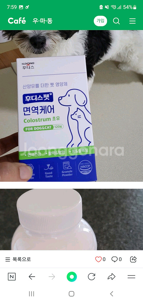 일동후디스펫 면역+장건강--0
