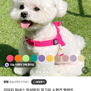 멍템 팔레트 하네스 네온오렌지 XS 소형견하네스