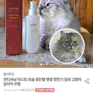 올더퍼리 강아지/고양이 미스트