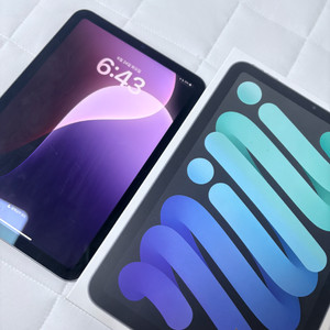 아이패드 미니6 256