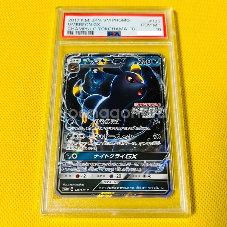 일판 블래키 gx 프로모 PSA10 포켓몬카드--0