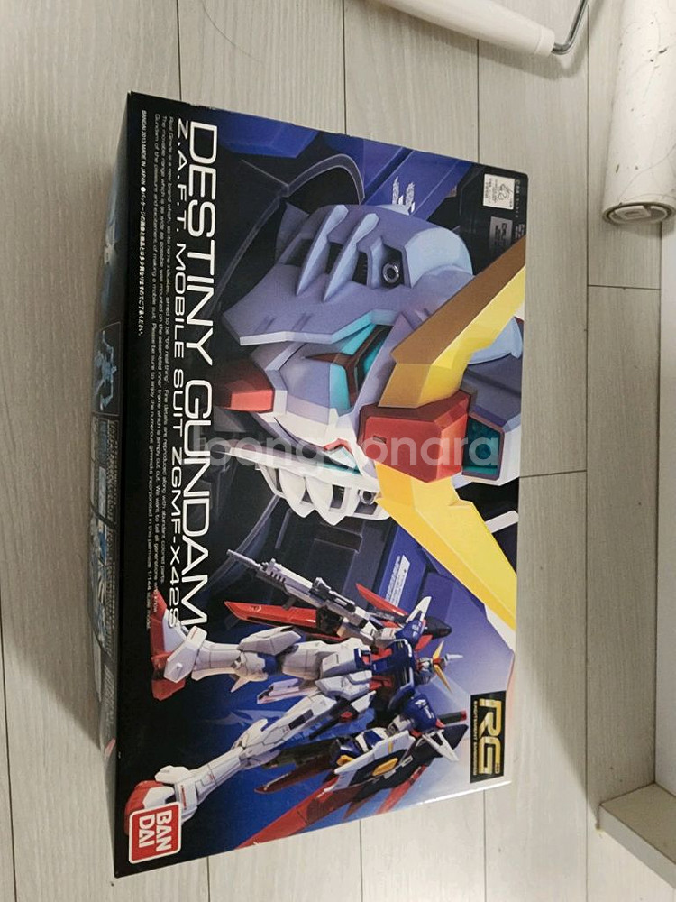 RG 데스티니--0